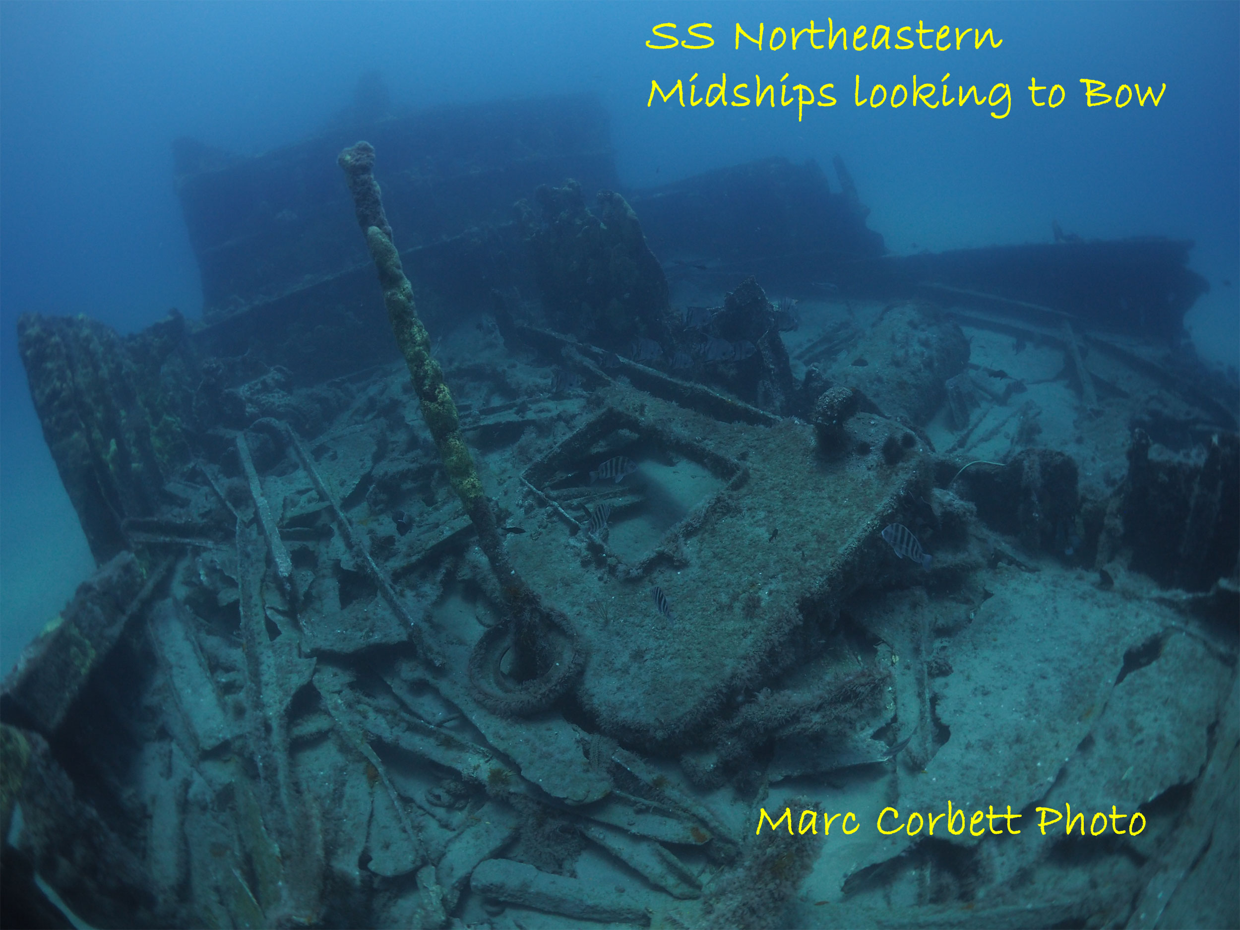 SS Northeastern midships  Marc Corbett Photo