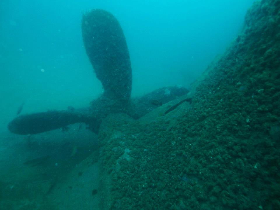 View of the Proteus propeller, each blade is about ten feet long. Photo taken May 2013 by Diver Marc Corbett., Water vis is around 65 feet.