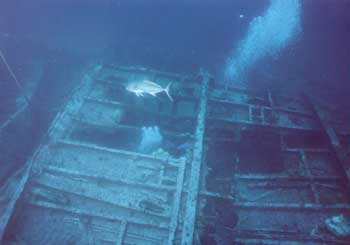 Manuela midships section is upside down.  Dave Sommers Dive Hatteras Photo