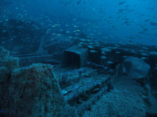 Manuela has a large debris field.  This photo is near the bow.  Photo by Marc Corbett, October 2013.