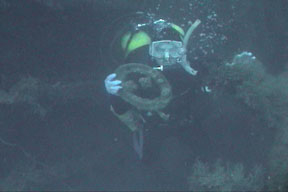 Treasure from the deep.  Dive Hatteras photo